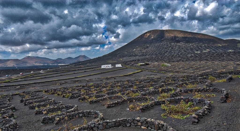 Exploring Volcanic Soils: Unveiling Plant Diversity in Volcanic Regions