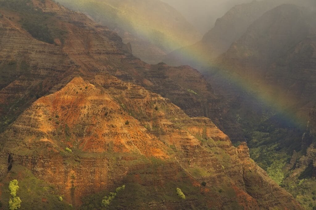 Exploring Volcanic Soils: Unveiling Plant Diversity in Volcanic Regions