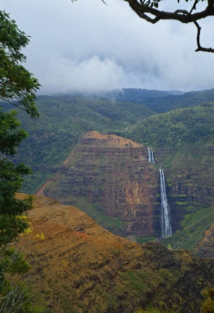 Exploring Volcanic Soils: Unveiling Plant Diversity in Volcanic Regions