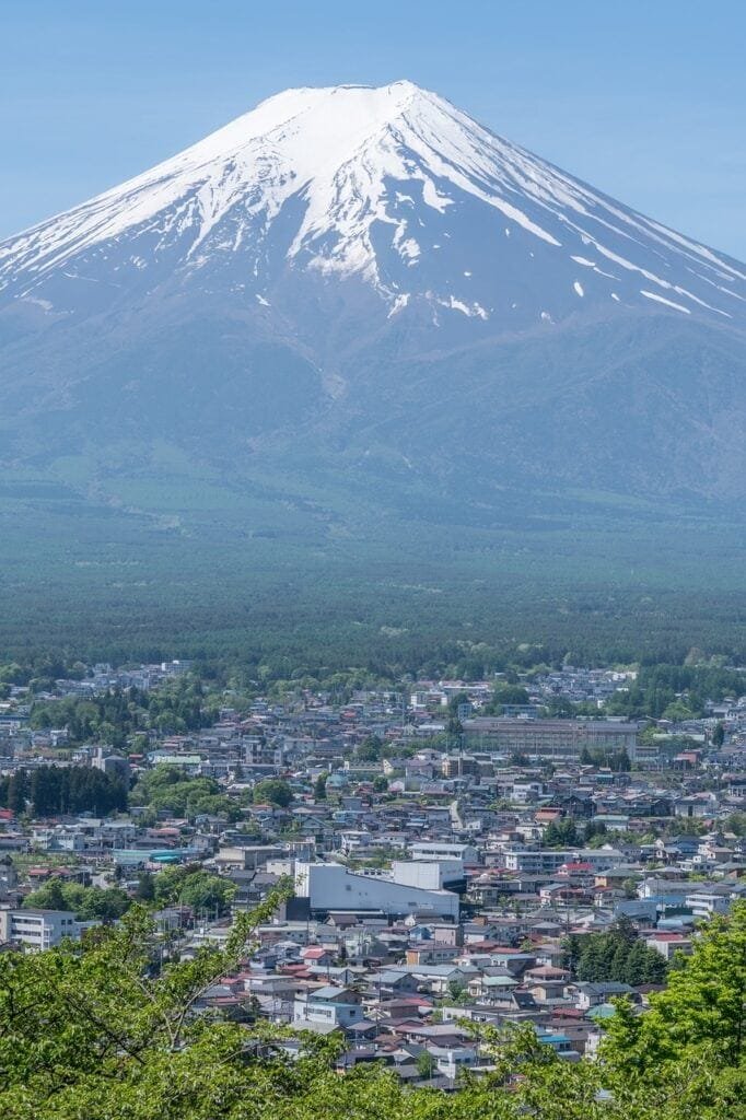 The Impact of Historic Volcanic Eruptions on Volcano Tourism