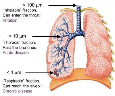 The Impact of Volcanic Ash on Human Habitats