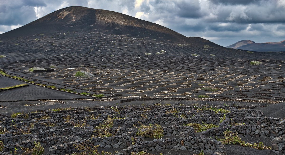 the impact of volcanic soil on agricultural productivity 2