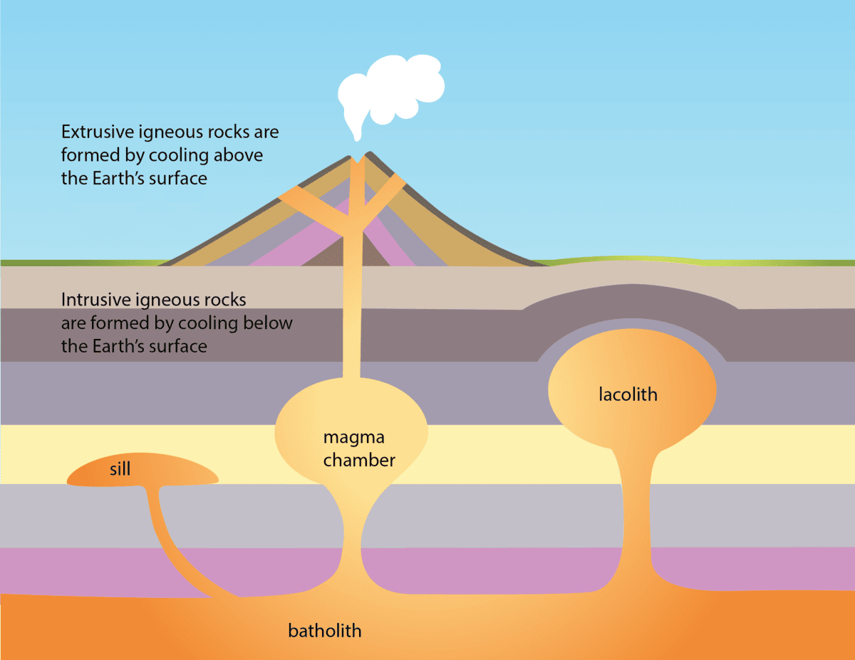 the influence of volcanic activity on species formation