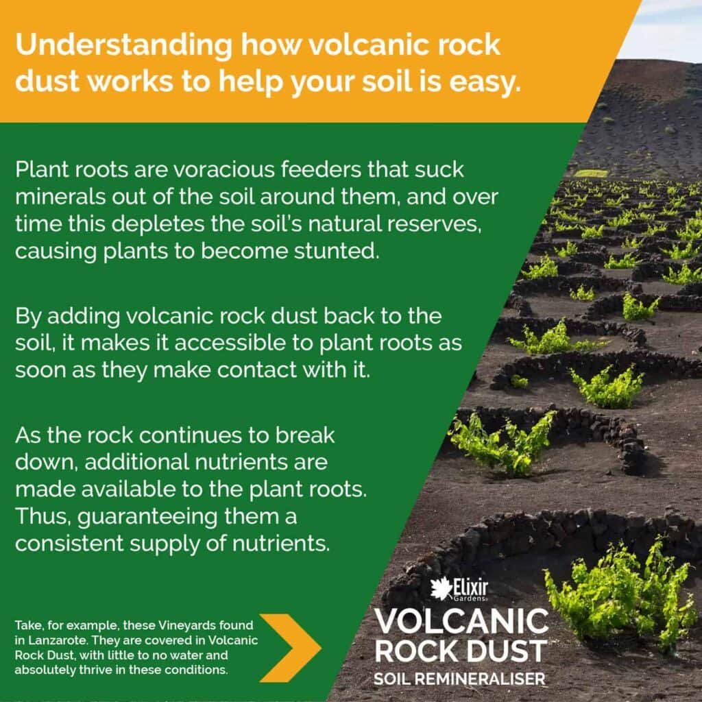 Tips for Growing Crops in Volcanic Soil