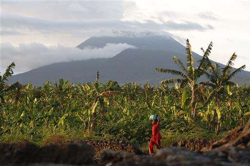 Tips for Growing Crops in Volcanic Soil