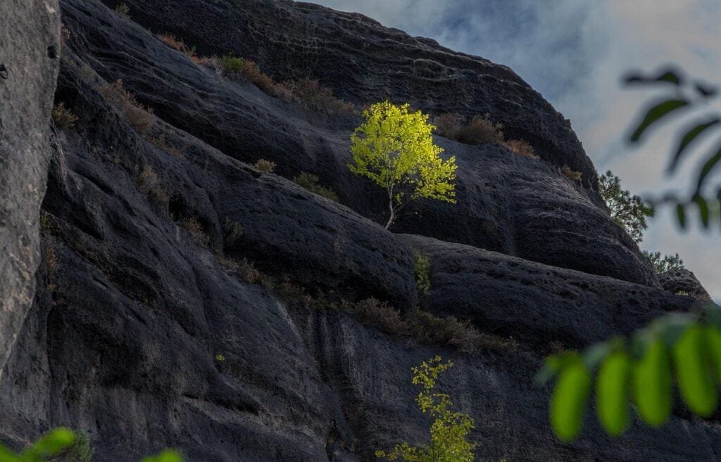 Understanding the Different Types of Volcanoes