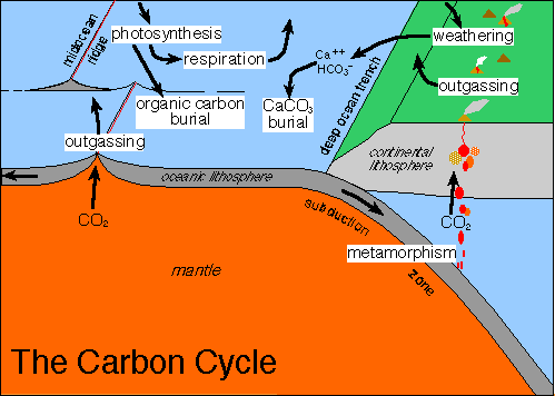 The Role Of Volcanoes In Earths Carbon Cycle