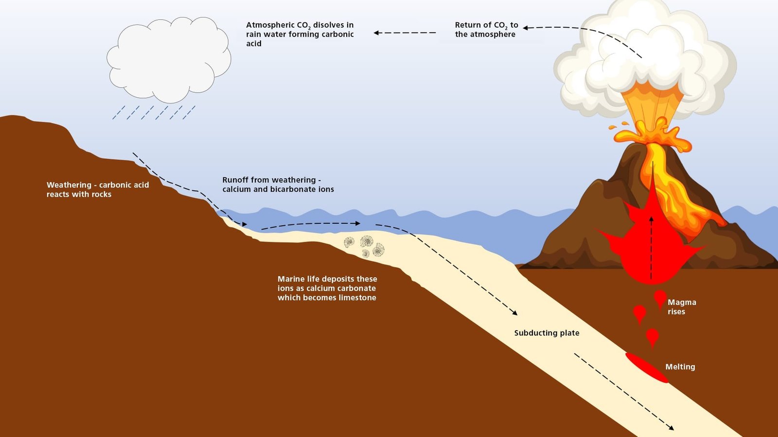 the role of volcanoes in earths carbon cycle