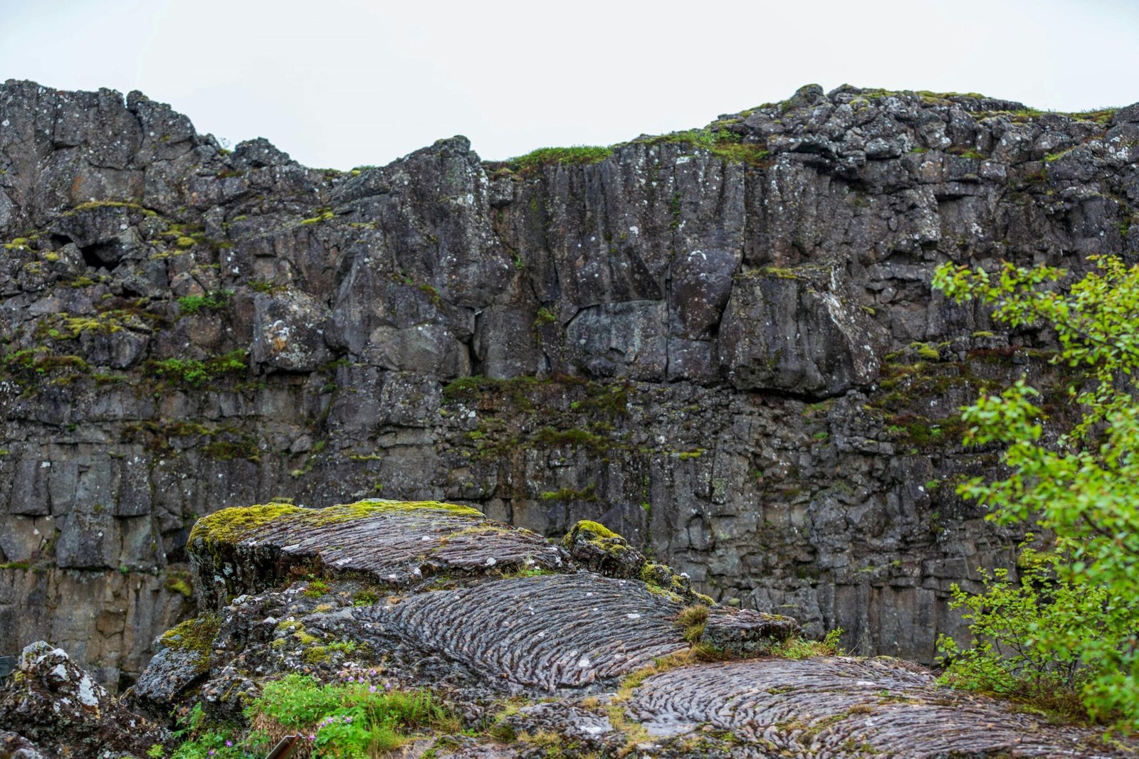 The Unique Topography of Volcanic Islands